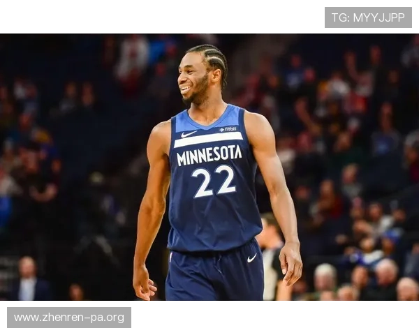 森林狼篮板保护最新排名解析及未来走势研判与关注要点深度洞察篇